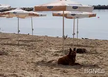 До 100 лв. за чадър на плажа това лято