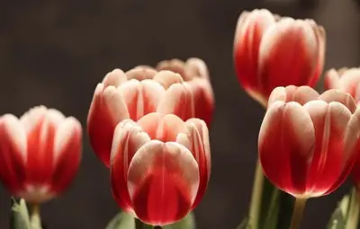 В 17.33 часа у нас настъпи астрономическата пролет