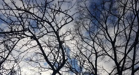 Застудяване, но без снежна покривка на Бъдни вечер и Коледа