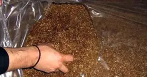 Хванат с 250 кила тютюн без бандерол се измъкна условно