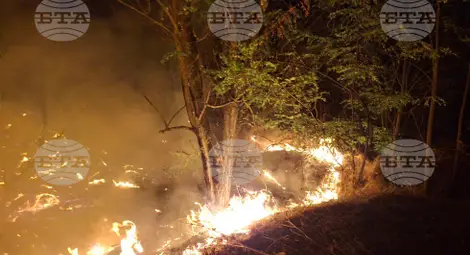 Снимка: БТА Снимка: БТА