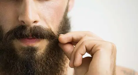 В брадите има повече бактерии, отколкото в тоалетните чинии