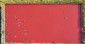 Майсторът на дрона Явор Мичев със златен  медал от международен фотографски салон