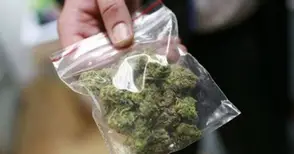 Наркокуриер хванат с половин килограм марихуана по сигнал