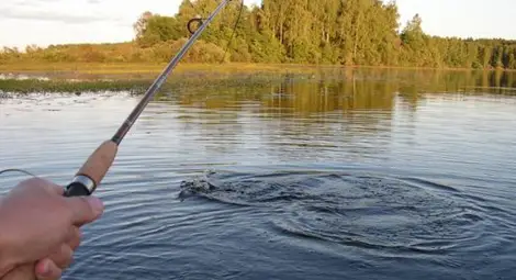 Екшън край Струма! Бракониери с брадви нападнаха инспектори на ИАРА