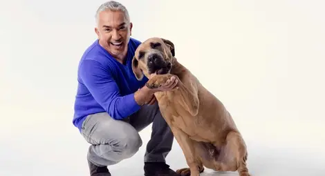 Cesar Millan - говорещият с кучета ще се срещне с най-запалените си почитатели у нас Cesar Millan - говорещият с кучета ще се срещне с най-запалените си почитатели у нас