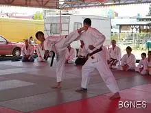 Българска каратека спечели сребро на Световната купа в Лашко