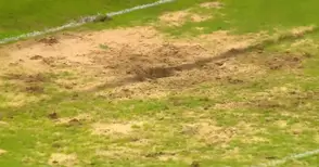 Оферти: Картофи на сметка от стадиона в Пловдив вместо футбол в нива