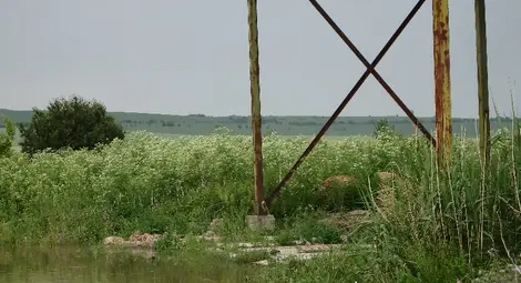 1800 дка пометени от порои и градушка в Двемогилско