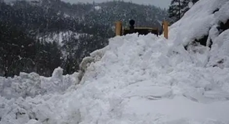 Лавини блокираха движението през &bdquo;Петрохан&ldquo;