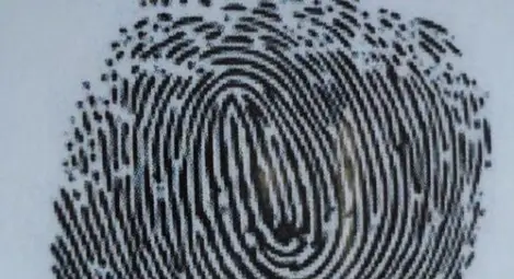 Тест разпознава пола по пръстовия отпечатък