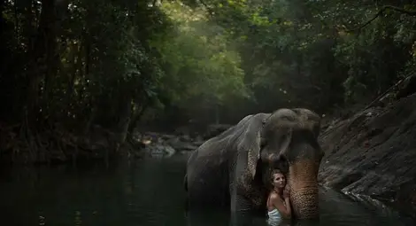 Спиращи дъха снимки с истински животни