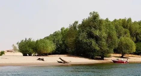 България може да загуби 6 кв. км острови в Дунав