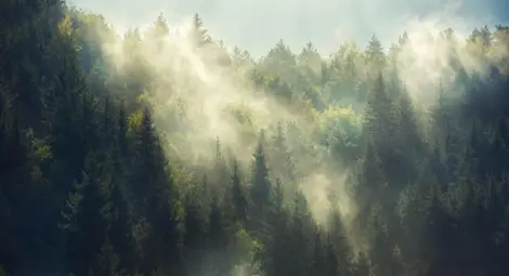 Какво ще бъде времето във вторник