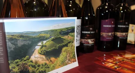 Избата в Нисово с три медала от &bdquo;Винария&ldquo;