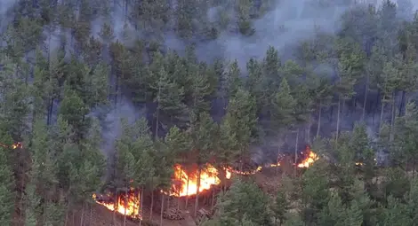 Продължава пожарът край Кресна, западният фронт се разширява Продължава пожарът край Кресна, западният фронт се разширява