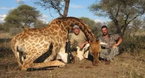 Христо Стоичков обясни с отворено писмо сафарито в Африка /галерия/