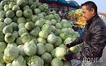 Мъжете също да приемат фолиева киселина преди опити за бебе