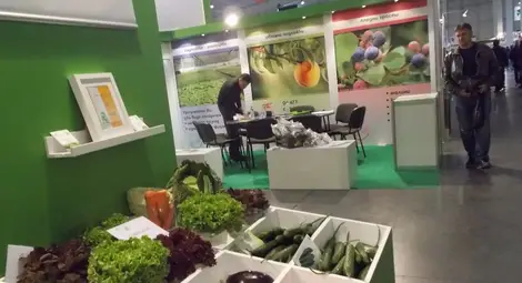 Нов сорт пъпеш гигант представят на изложението &bdquo;Агра 2017&ldquo; в Пловдив