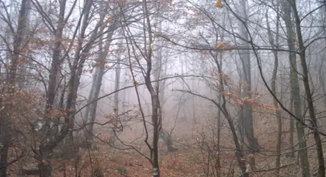 Облачността се увеличава, привечер на запад ще превали Облачността се увеличава, привечер на запад ще превали