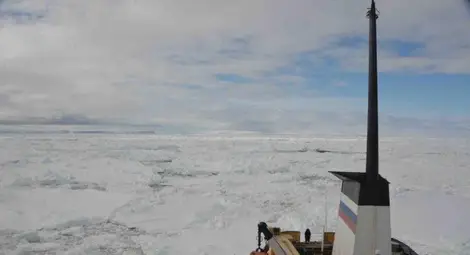 Китайският ледоразбивач, който евакуира пътниците на руски кораб край Антарктида, сам попадна в леден капан Китайският ледоразбивач, който евакуира пътниците на руски кораб край Антарктида, сам попадна в леден капан