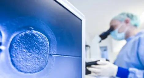 Британски учени се подготвят за революционен експеримент с човешки ембриони