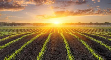 По-топла и слънчева събота