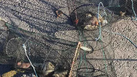 Общински служители установиха незаконен риболов на езерото край село Николово