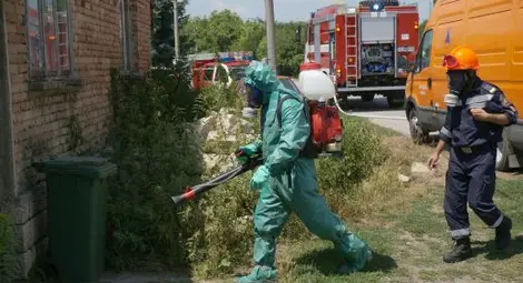 Двама министри яли от заразените с антракс пържоли!