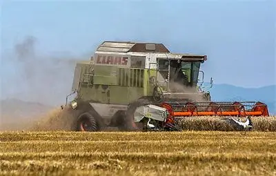 30% по-ниски добиви от жито заради дъждовете