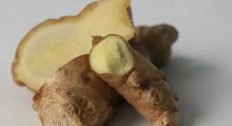 Джинджифилът &ndash; вълшебният корен