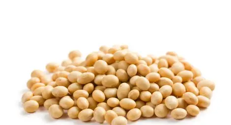 Откриха 10 тона ГМО соя в Бургас