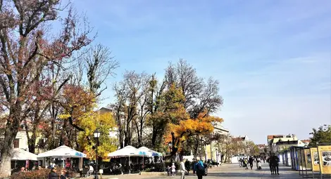 Снимка: Бонка АНГЕЛОВА