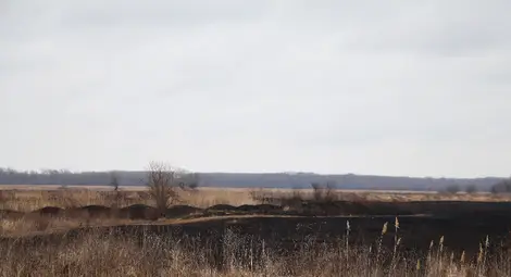 Тръстика и дървета са изгорели при пожар в защитена местност  &bdquo;Калимок-Бръшлен&ldquo;