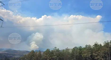 Снимка: БТА Снимка: БТА