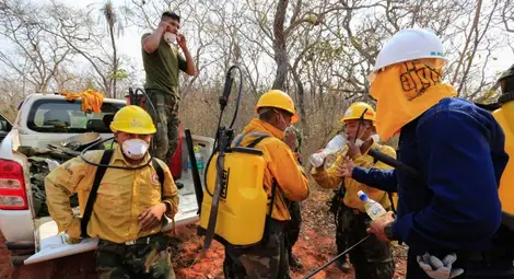 Броят на пожарите в Амазонската джунгла продължава да расте
