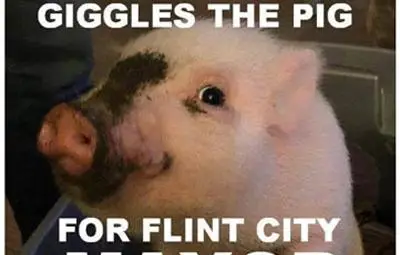 Прасе се кандидатира за кмет на американски град Прасе се кандидатира за кмет на американски град