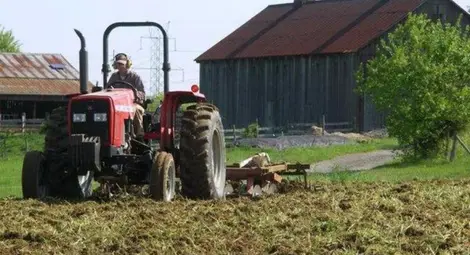 Фонд „Земеделие“ договори първите 85 проекта за малки стопанства Фонд „Земеделие“ договори първите 85 проекта за малки стопанства