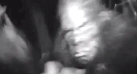 Шокиращ филм на BBC: Заснеха Бигфут, този път може да е истина! /видео/
