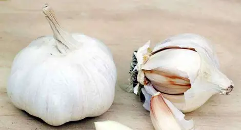 Чесънът намалява риска от рак на беля дроб