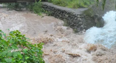 Реките в Разградско не се почистват качествено заради липса на пари Реките в Разградско не се почистват качествено заради липса на пари
