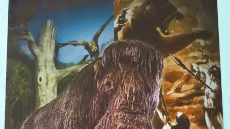 Плакат на Екомузея спечели  трето място на форум в Смолян