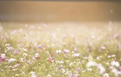 До 25 градуса в неделя, следобед ще вали на места