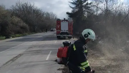 Паднали дървета блокираха пътя Русе – София Паднали дървета блокираха пътя Русе – София
