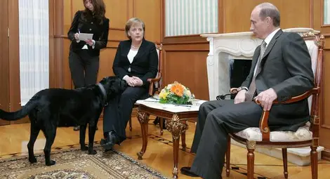 Приятелка, компас, цялостно произведение на изкуството - думите, с които световните лидери се сбогуват с Ангела Меркел