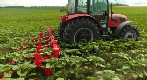 Център в Русе координира новите офиси на Национална служба за съвети в земеделието