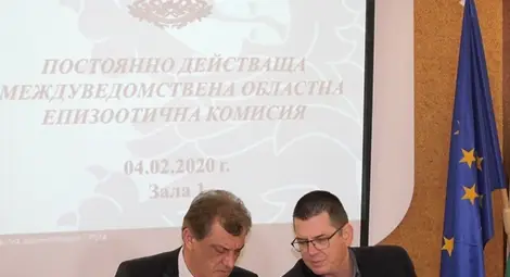 След чумата по свинете чакаме и птичи грип След чумата по свинете чакаме и птичи грип