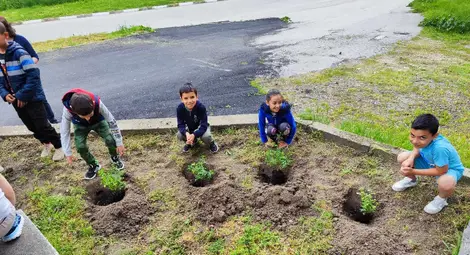 Нови цветни градини променят облика на Караманово /галерия/