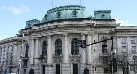 Изследване: Пълният член не е най-честата грешка в езика на българина