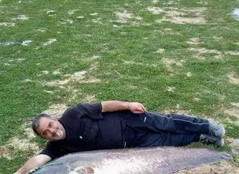 Сом гигант в яз. Жребчево! Вадиха го с... такси!